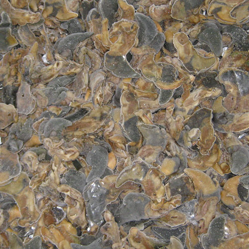 CHILEAN FARMED ABALONE PRODUCTS (VISCERAS, ENTRAILS, GUTS, INTESTINE)